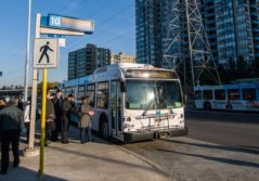 Autobus urbains, suburbains, autobus scolaires